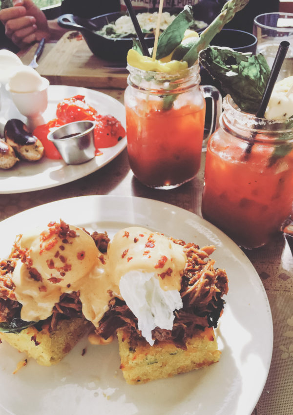 Insider’s Guide to San Diego’s Cafes and Restaurants