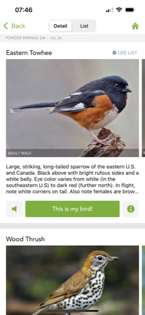 A Beginner's Guide to Birding: Get Started with 2 Easy Steps