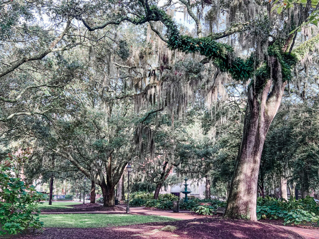 How to Spend 3 Fun-filled Days in Savannah, GA